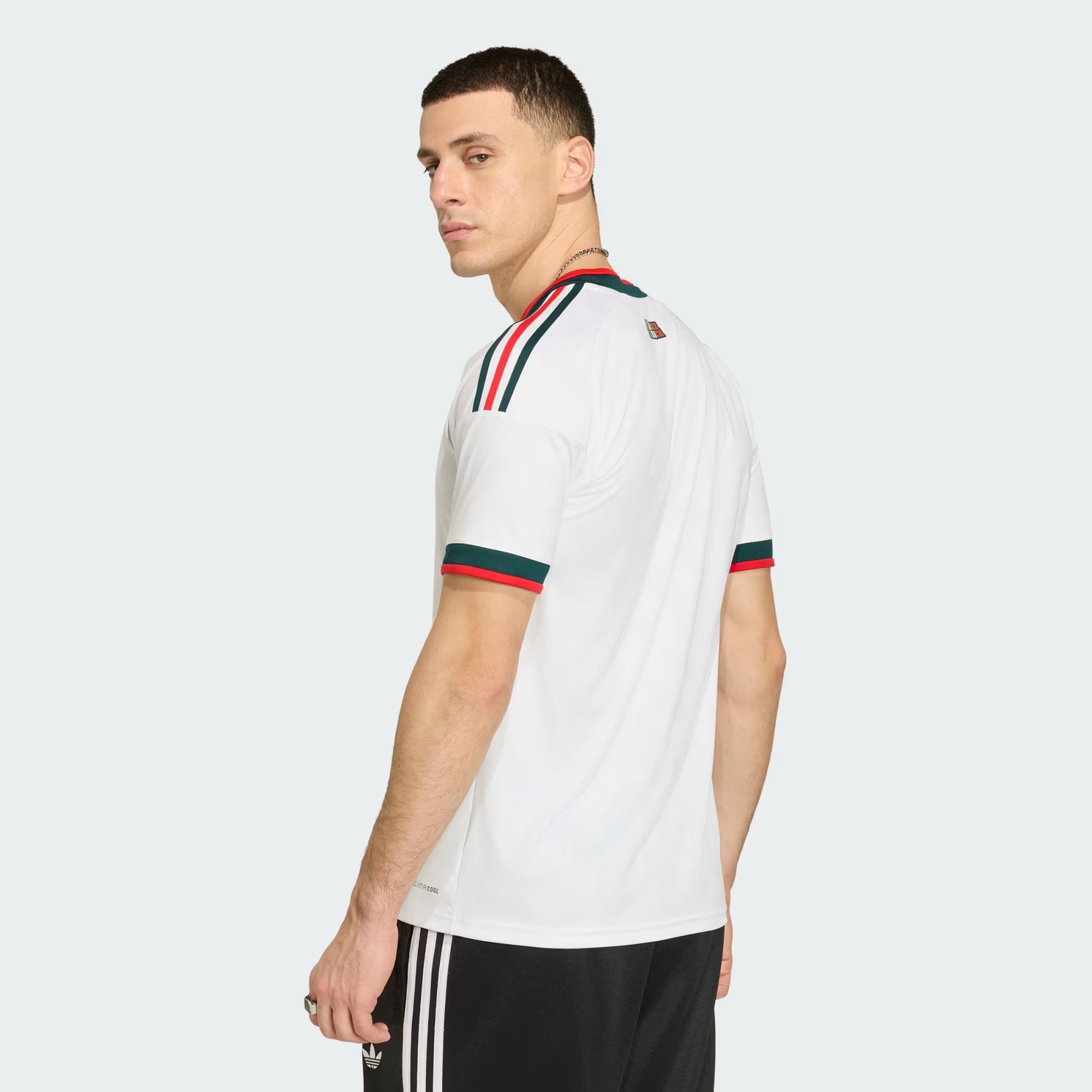 Mexico 2026 Away Jersey - Fan Version